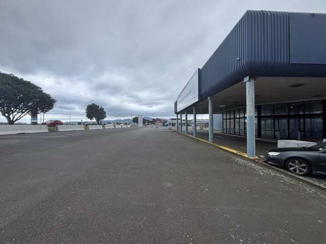 Blue Area - 160 Kapiti Road Paraparaumu_2