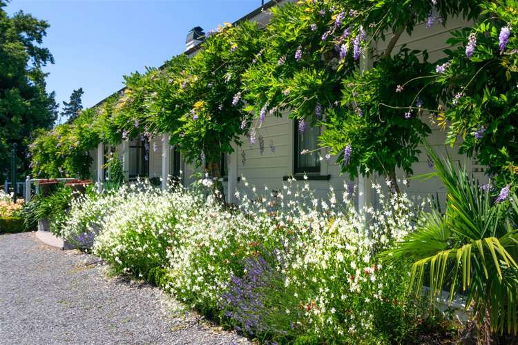 3284 State Highway 1 Riverlands_5