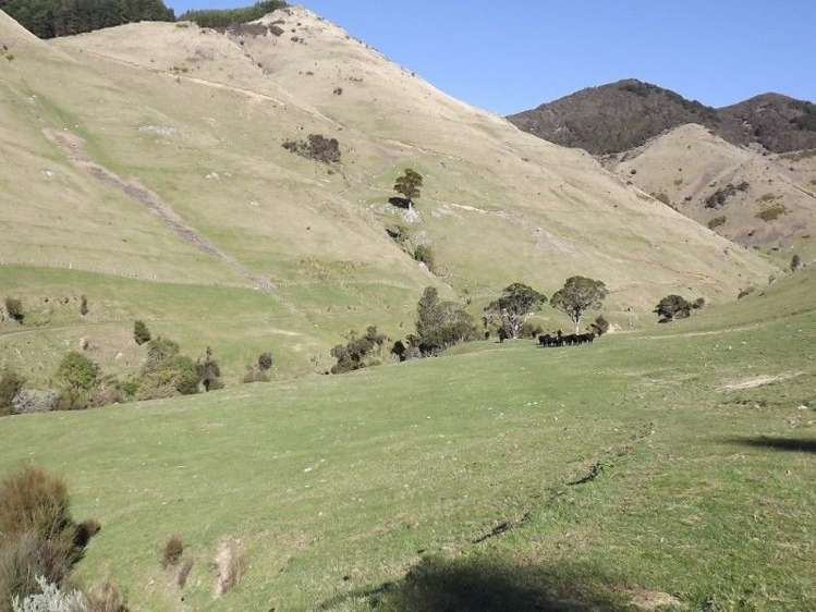 704 Mangatarere Valley Road Carterton_17