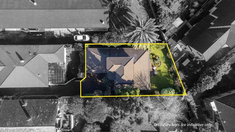 190a Campbell Road Greenlane_19