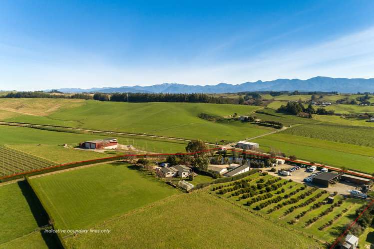 49 Baldwin Road Tasman_19