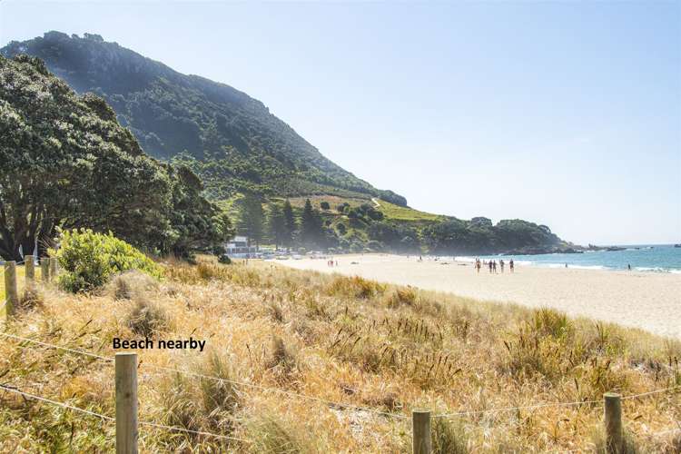14b Bain Street Mount Maunganui_19