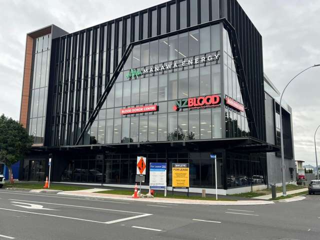 Tenancy 3/93 Cameron Road Tauranga Central_2