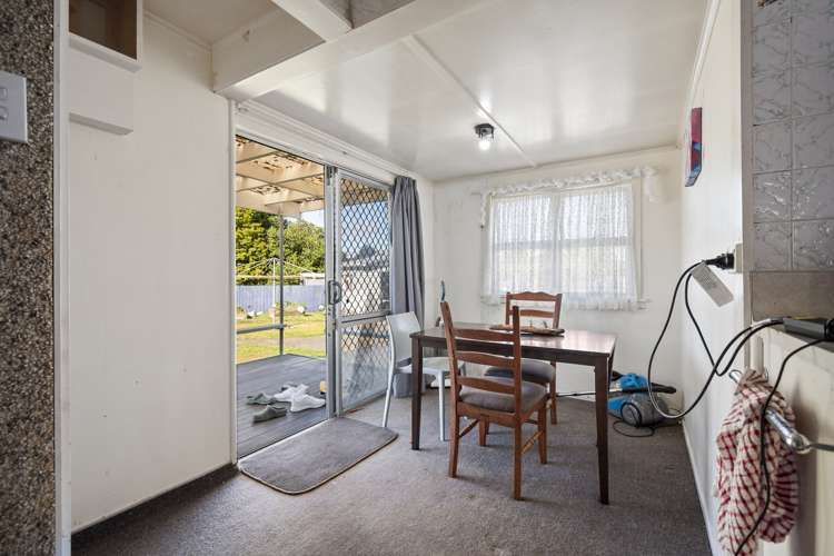 13 Flower Street Bulls_5