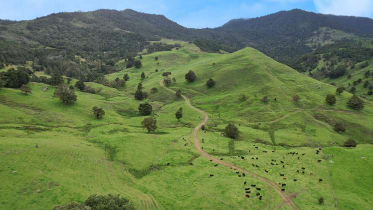 1896 Omana Road Pukehuia_8