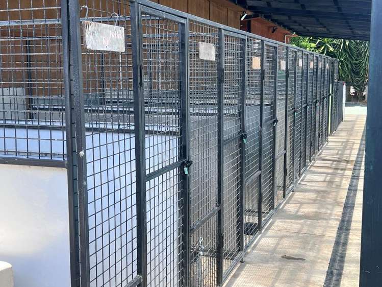 128 Mako Mako Road Levin_8