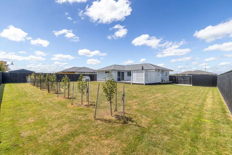 28 George Street Bulls_22