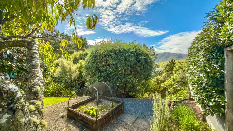 236 The Booms Avenue_3