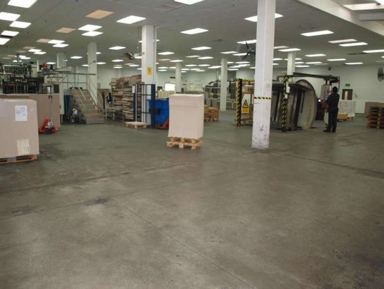 476 Jackson Street Petone_1