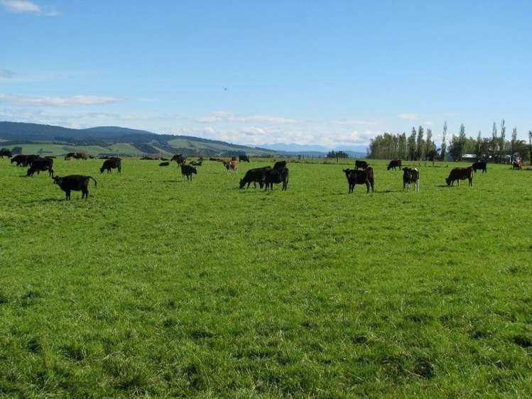 252 Hamilton Road Otautau_9