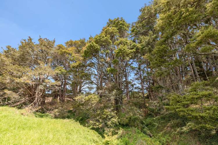 645 West Coast Road Makarau_6