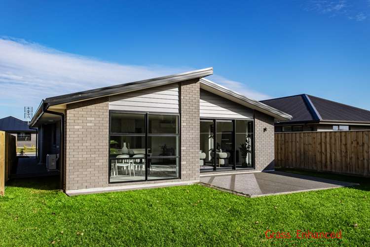 43 Henshaw Street Ravenswood_14