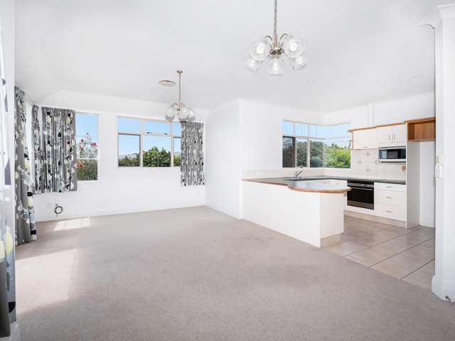 503 Allport Road Paengaroa_4