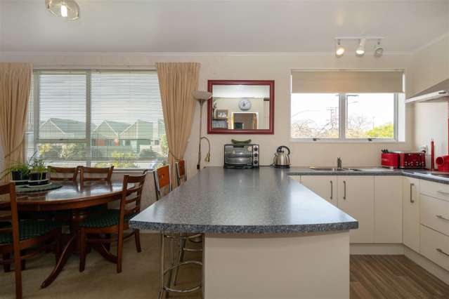 14b Beaver Road Blenheim Central_4