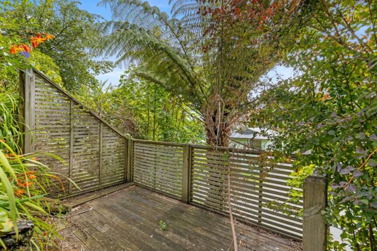 35 Durham Street Picton_24