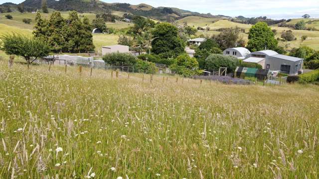 59C Totara Valley Road Thames_4