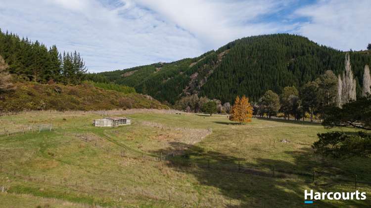 2867 Motueka Valley Highway Woodstock_44