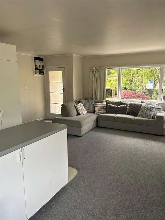 23 Palm Avenue 10816_1