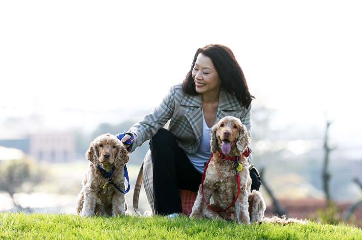 Bayleys agent Lorraine Young with her pet cocker spaniels. 