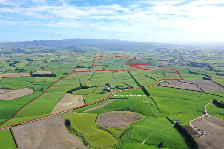 919 Miller Road Clinton and Surrounds_0