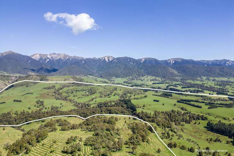 21 Carson Road Ongaonga_0