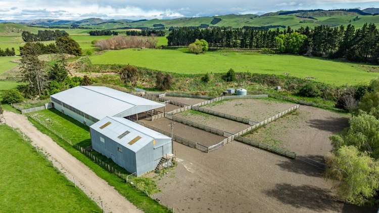 1443 Omihi Road Omihi_17