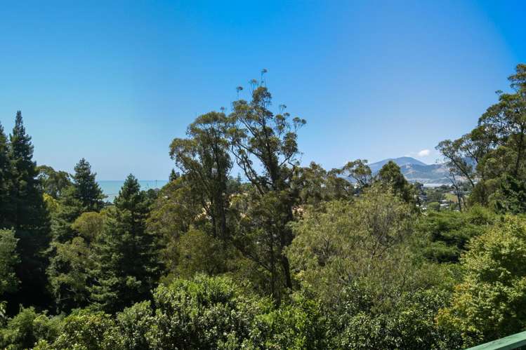 180 Quebec Road Washington Valley_29