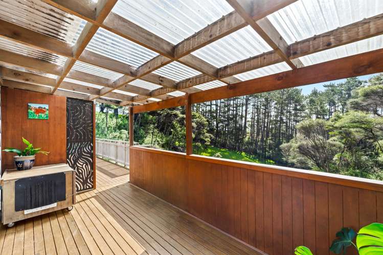 93 Mcentee Road Waitakere_29