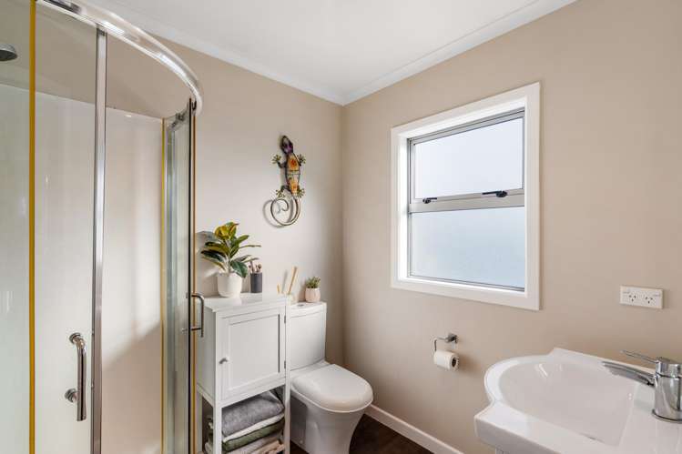 191a Guppy Road Taradale_12