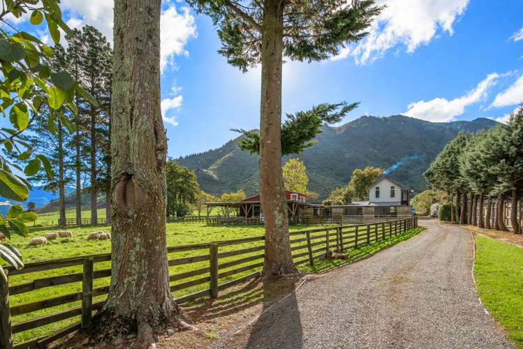 1349 Queen Charlotte Drive Anakiwa and Surrounds_25