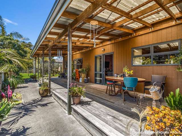 Escape the Ordinary. Live Free in Katikati.