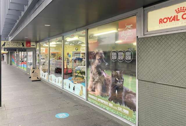 235 Main Street Upper Hutt Central_1