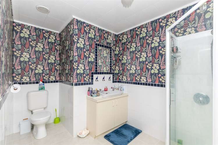 3 Fare Vue Lane Otorohanga_19