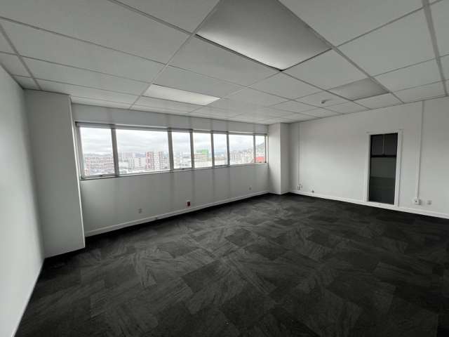 39 Webb Street, Te Aro Mt Cook_1