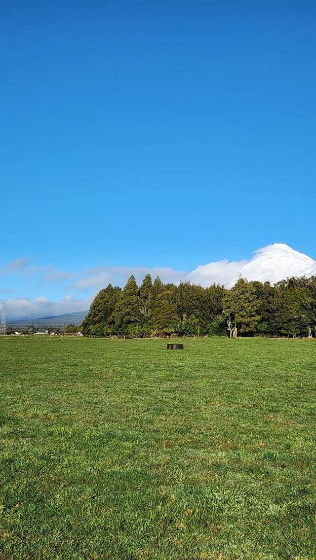 356 Norfolk Road Inglewood_3