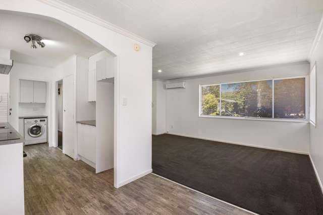 40 Collie Drive Pukehangi_4