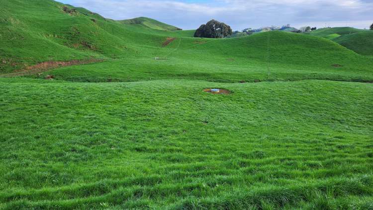 348 Ratapiko Road Ratapiko_14