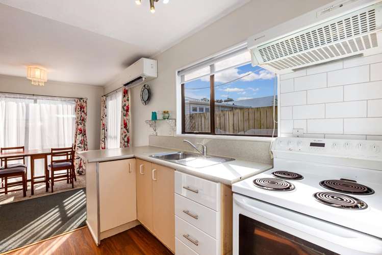 42B Park Road Miramar_6