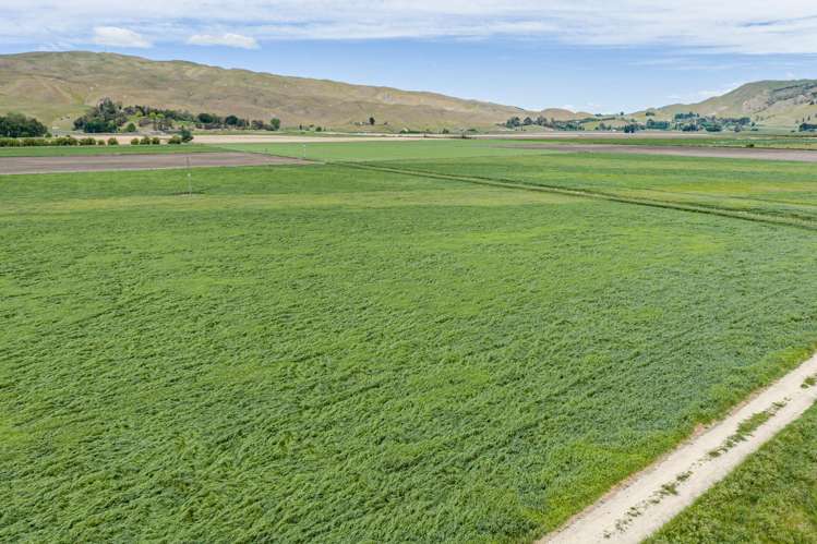 85 West Road Havelock North_16