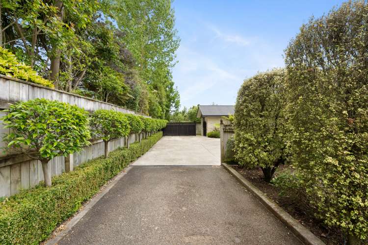 87 Macarthur Street Levin_5