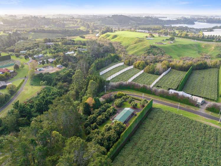 41 I'Anson Road Wairoa_25