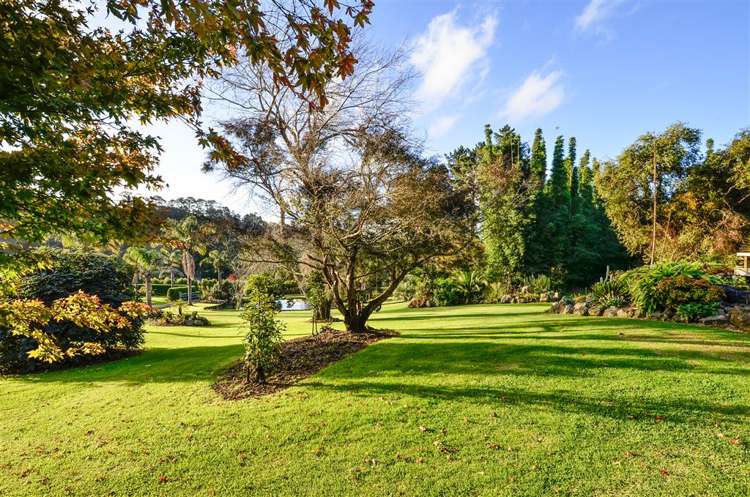 211 Foster Road Waimauku_9