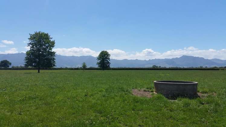 201 Steele Road Manawaru_2