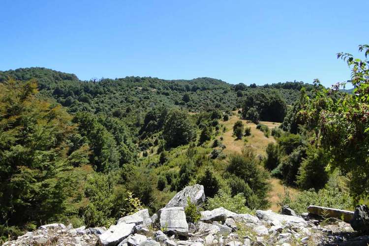 135 Canaan Road Kahurangi National Park_16