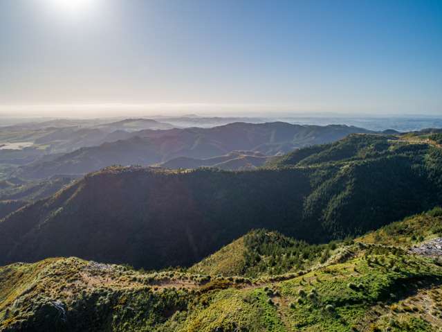 1036 Klondyke Road (Central) Port Waikato_3