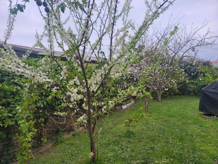 17 Hakanoa Street Huntly_29