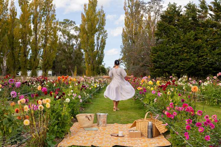 58 Moroa Road Tauherenikau_6