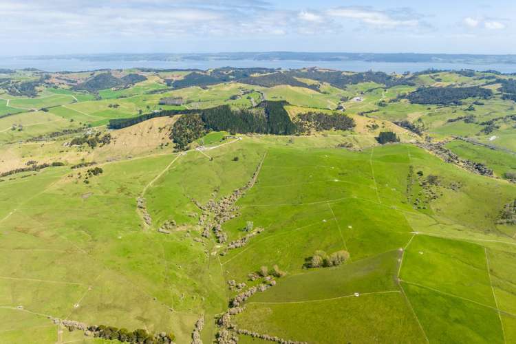 551 Tinopai Road Tinopai_0