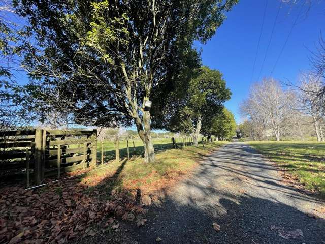 26 Dale Road 11428_2