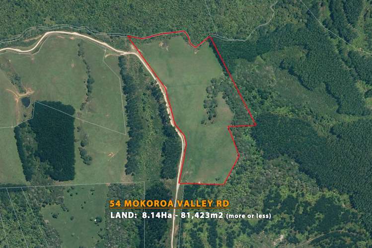 54 Mokoroa Valley Road Waitakere_5